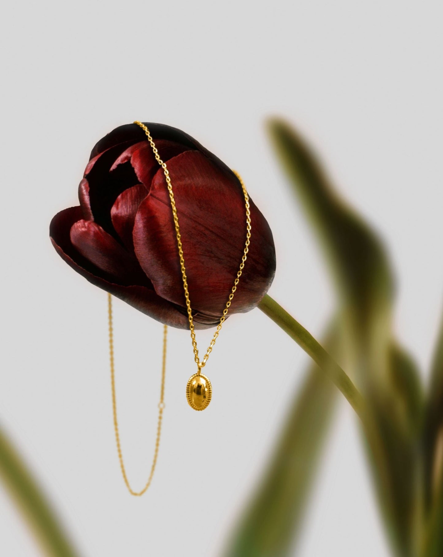 Oval Pendant Necklace in Gold