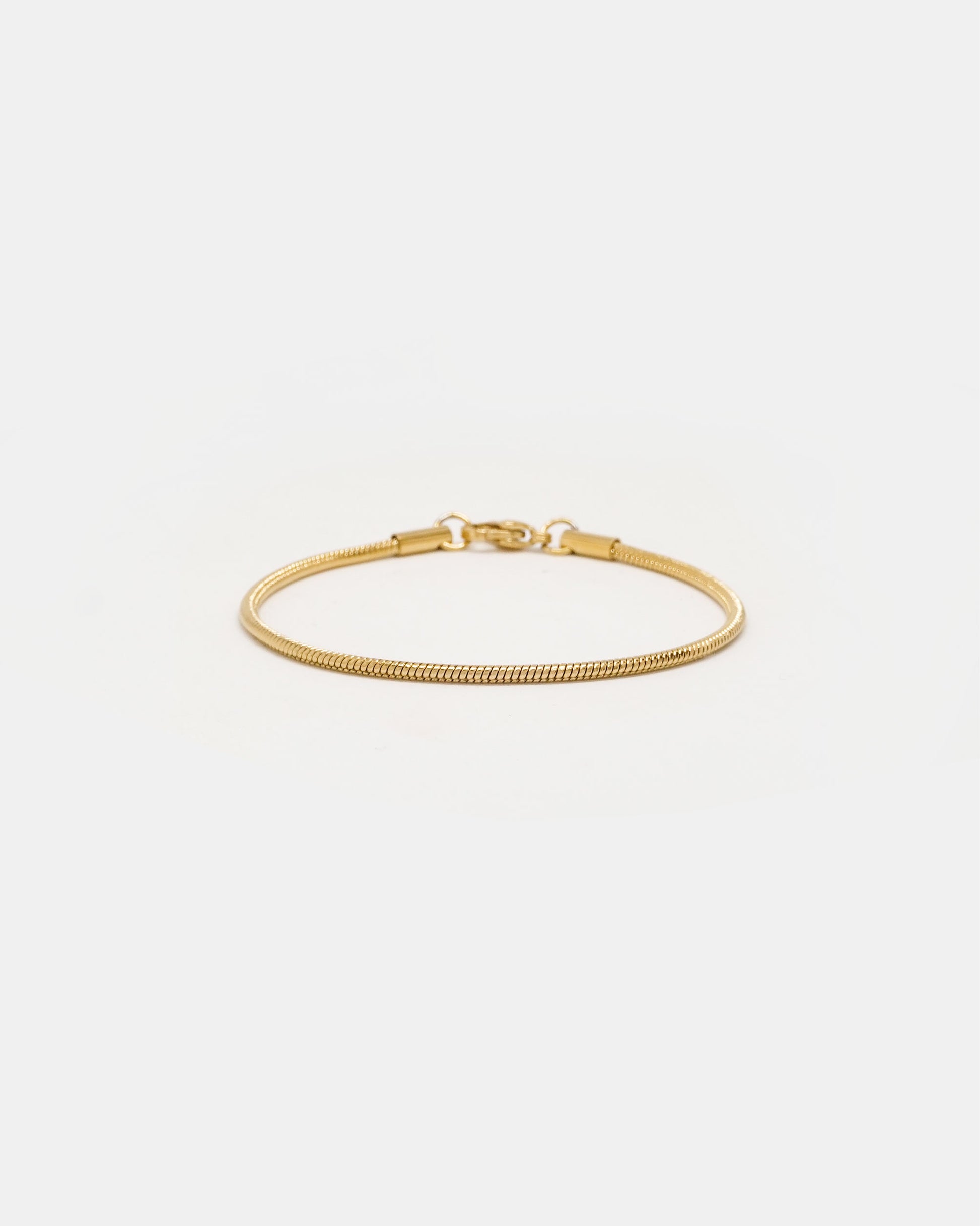 Sleek Snake Chain Bracelet in Gold