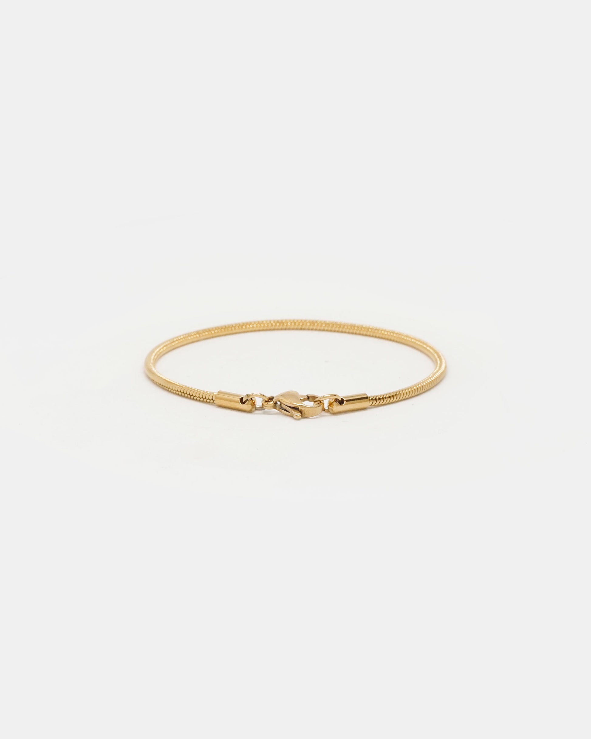 Sleek Snake Chain Bracelet in Gold