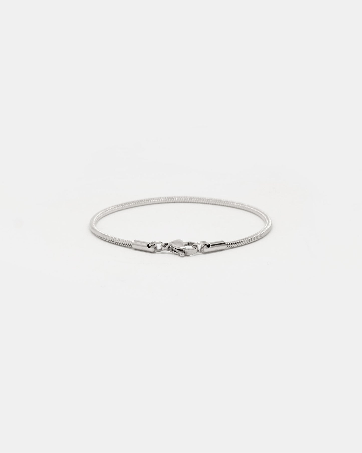 Sleek Snake Chain Bracelet in Silver
