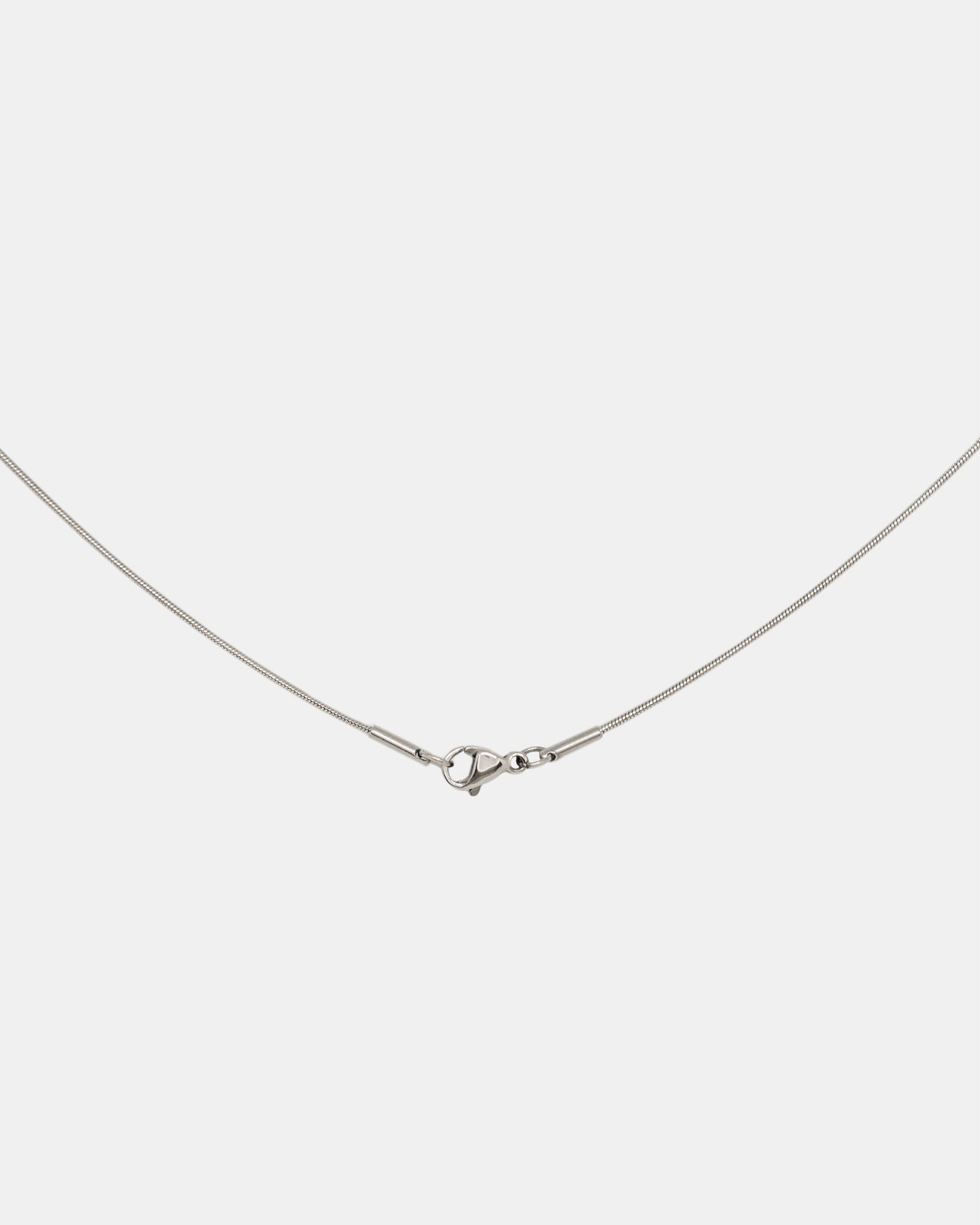Sleek Snake Chain Necklace in Silver