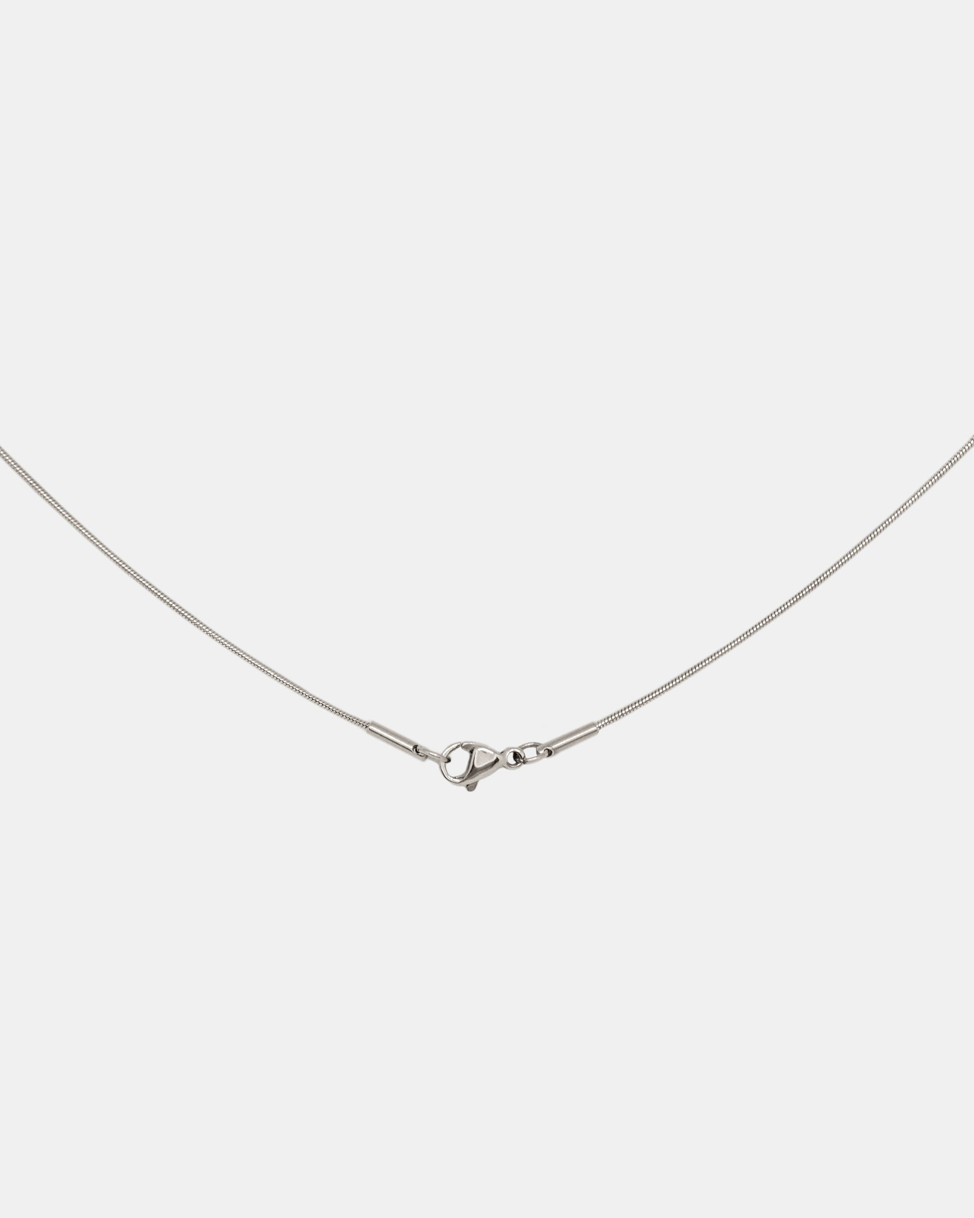 Sleek Snake Chain Necklace in Silver