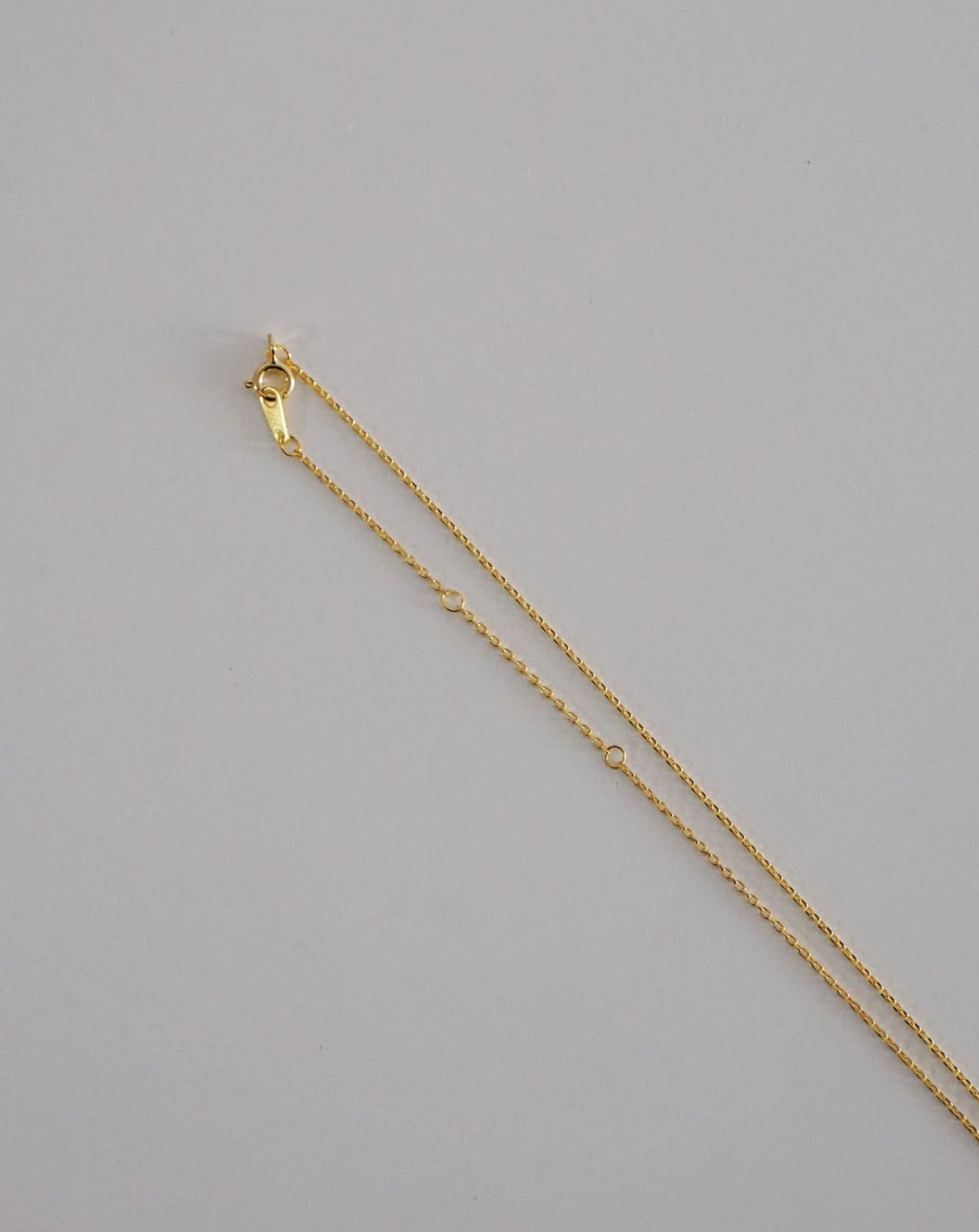 Oval Pendant Necklace in Gold