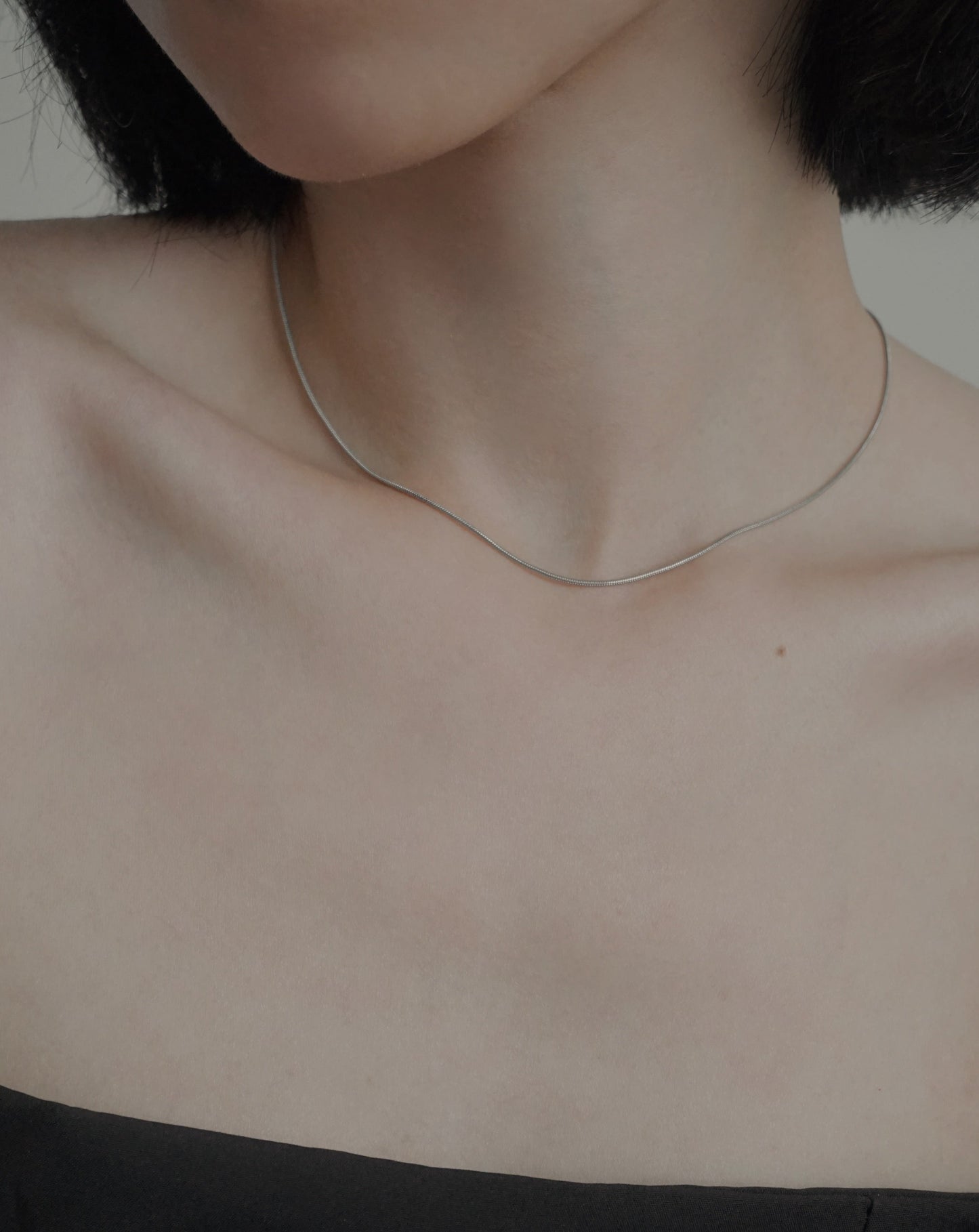 Sleek Snake Chain Necklace in Silver