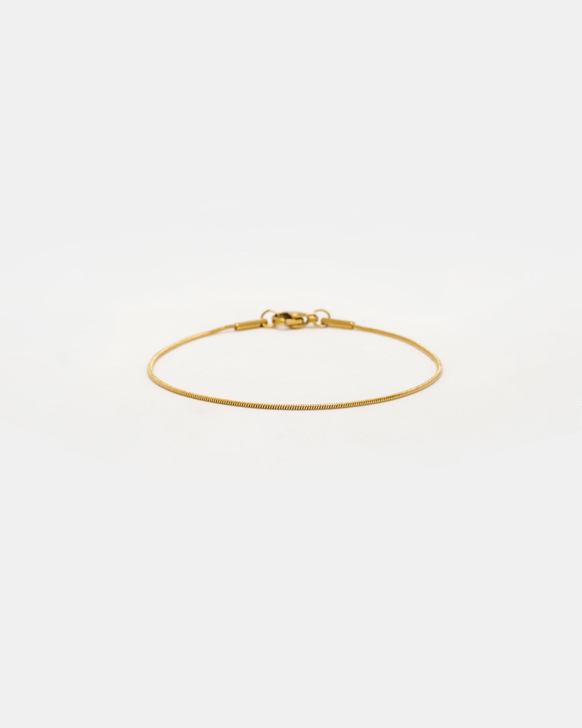 Sleek Snake Chain Bracelet in Gold