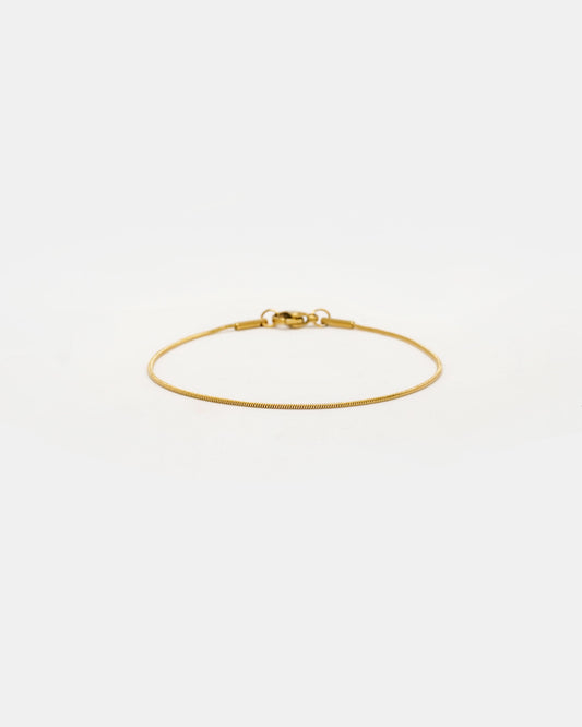 Sleek Snake Chain Bracelet in Gold