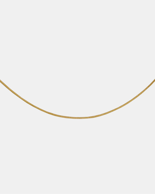 Sleek Snake Chain Necklace in Gold