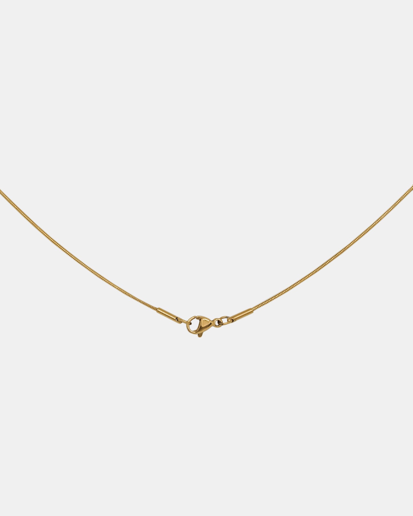 Sleek Snake Chain Necklace in Gold