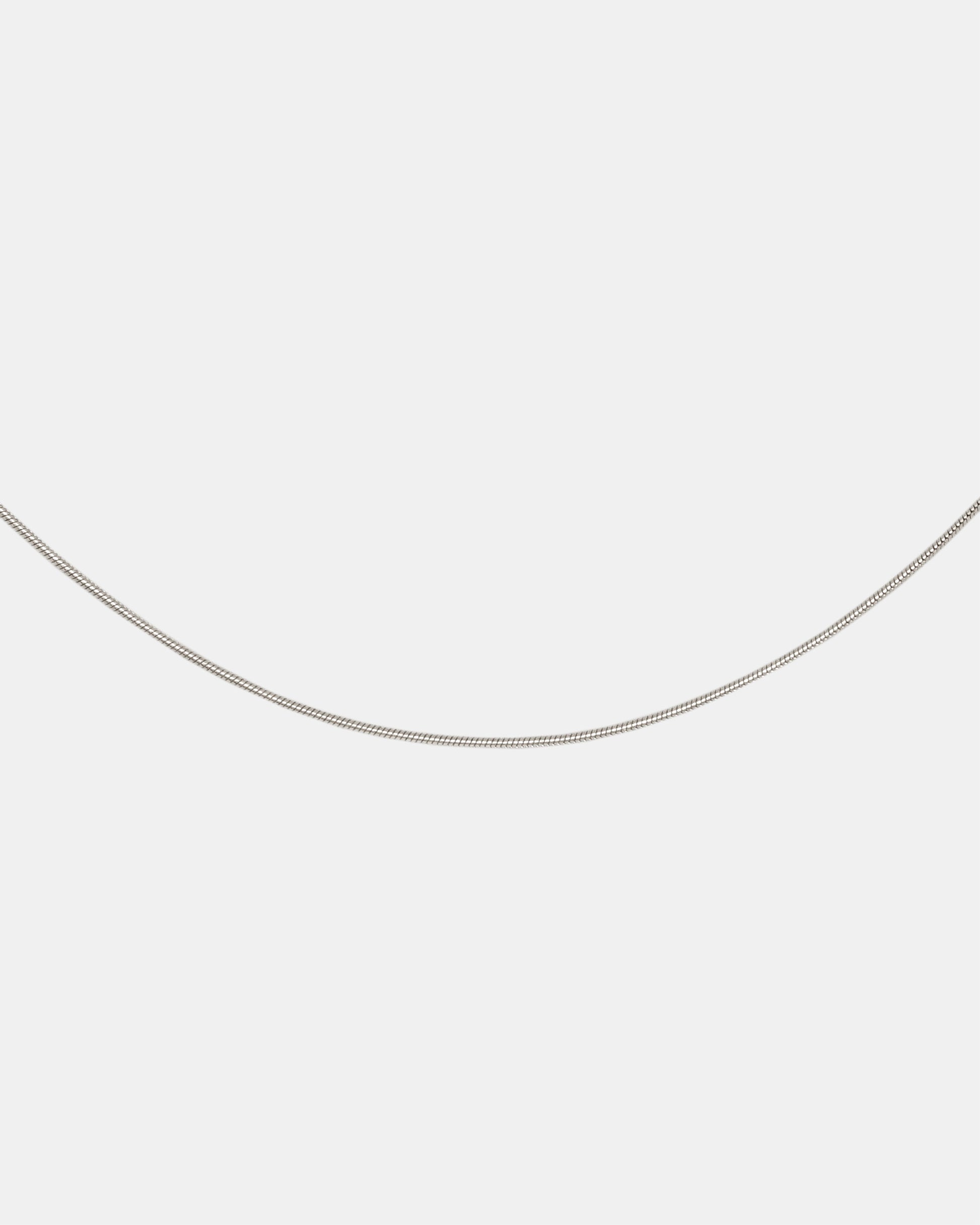 Sleek Snake Chain Necklace in Silver